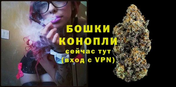 spice Осташков