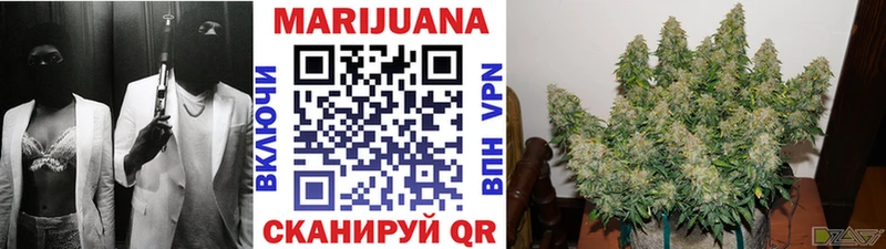 Бошки марихуана VHQ  кракен как войти  Питкяранта 
